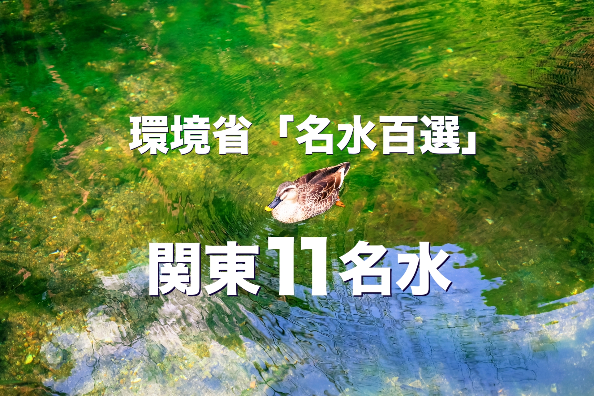 環境省「名水百選」　関東11名水
