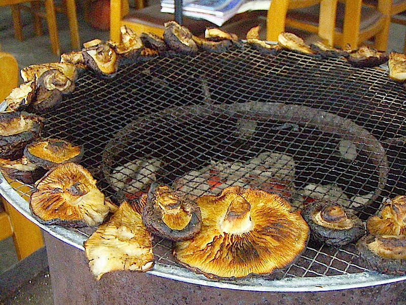 しいたけをチロチロと焼いております