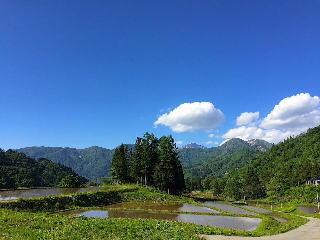 201507121603