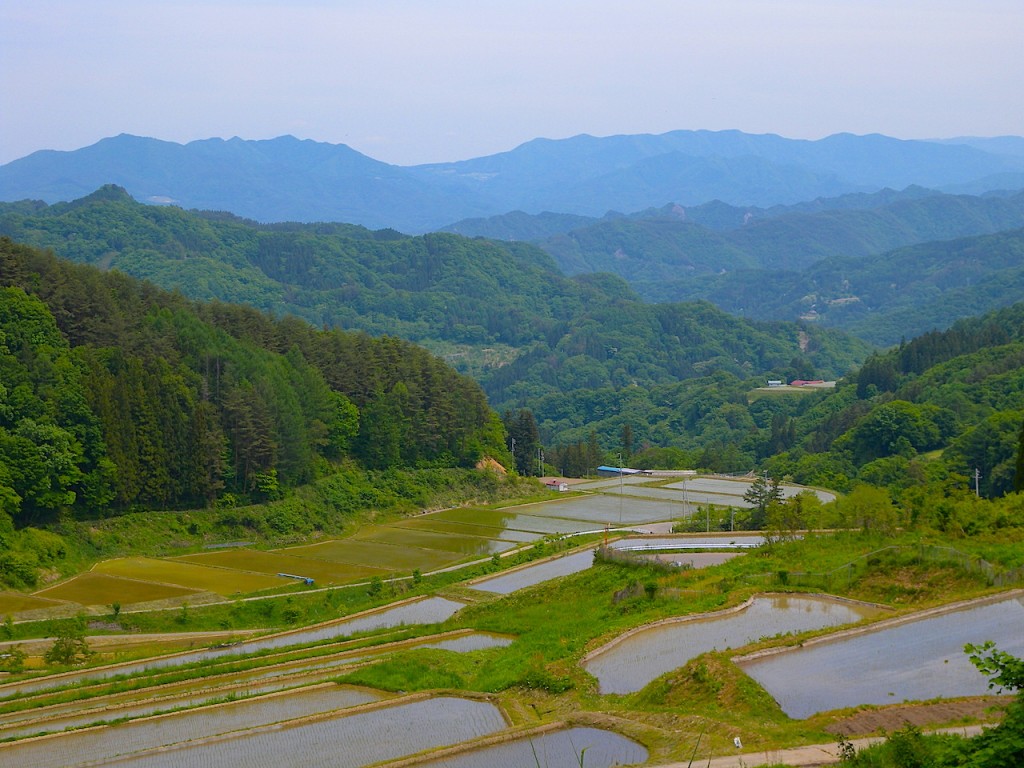 201507130904