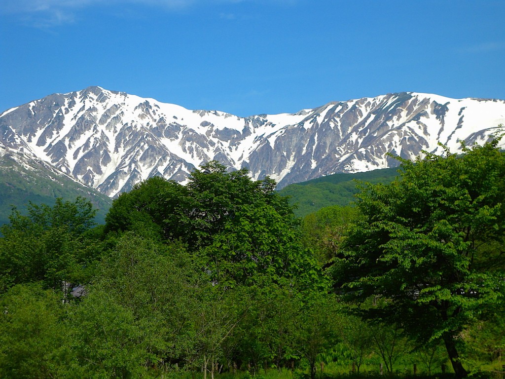201507131603