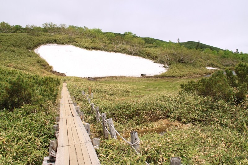 羅臼湖歩道二の沼