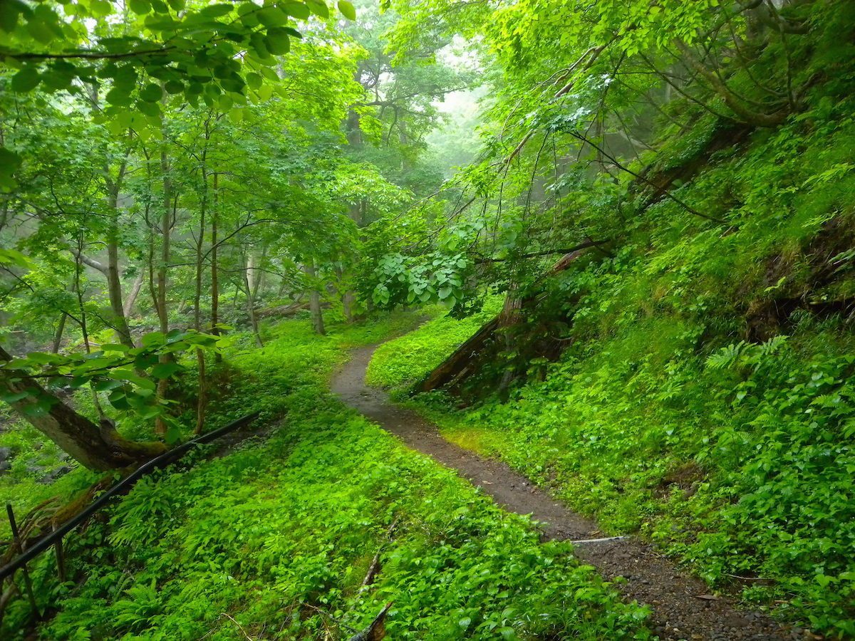 地の涯露天風呂への道