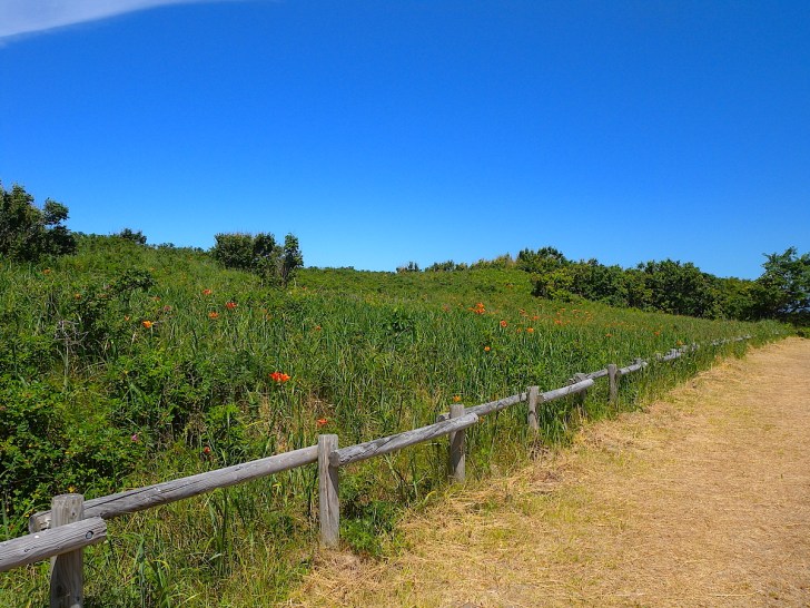 以久科原生花園