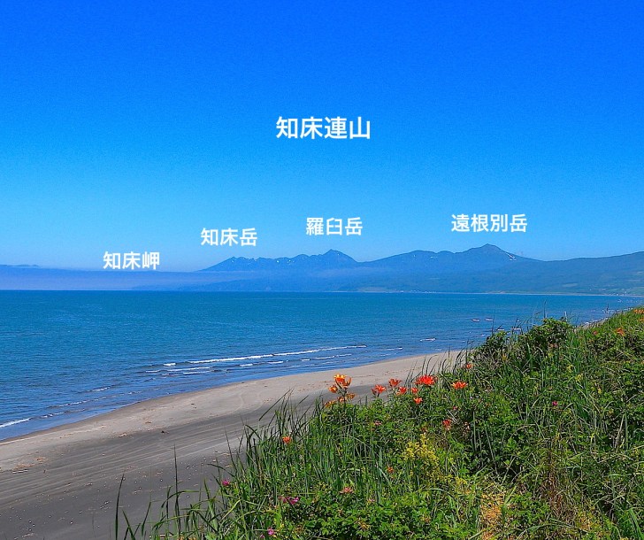 以久科原生花園
