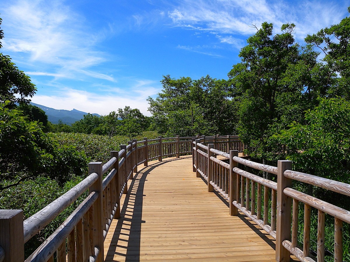 知床五湖・高架木道