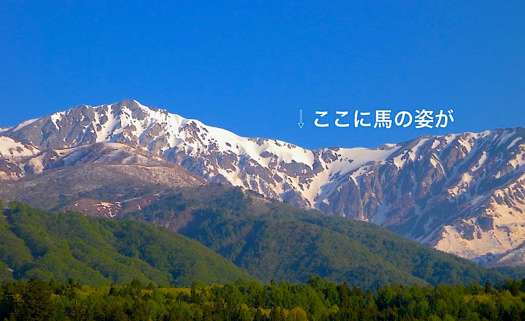 201512260601