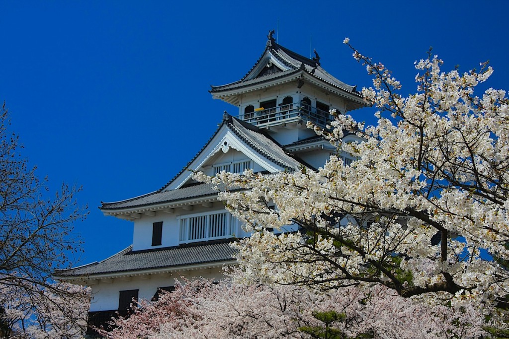 長浜城