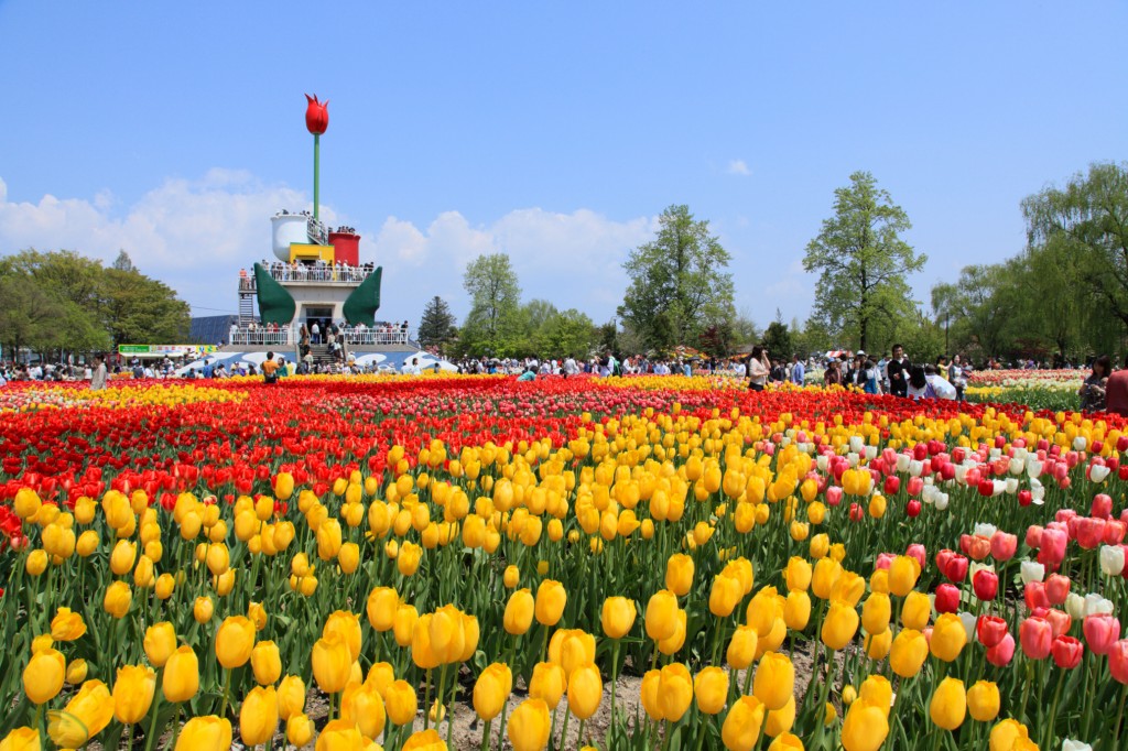 メイン会場のチューリップ公園には、シンボルタワーの「チューリップタワー」がそびえています
