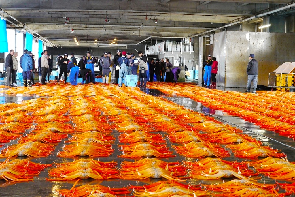 新湊漁港では、通常の魚市場で行われている早朝のセリだけでなく、13:00から昼セリも行なわれています（予約で見学も可能）