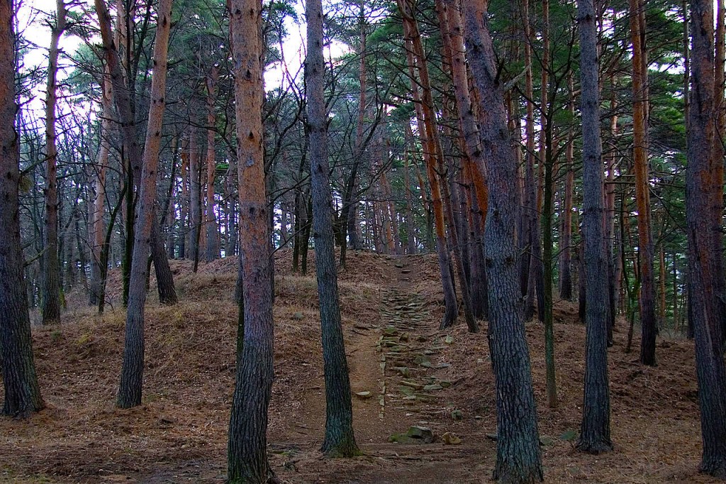 松本の里山辺にある林城跡