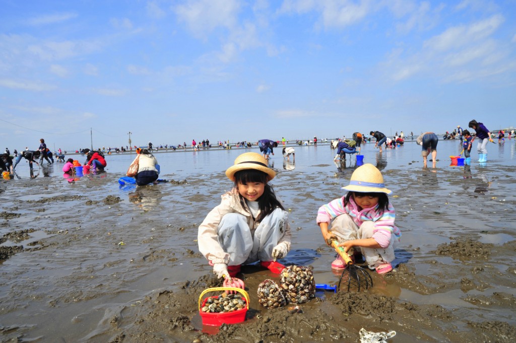 遠浅の富津海岸で潮干狩り