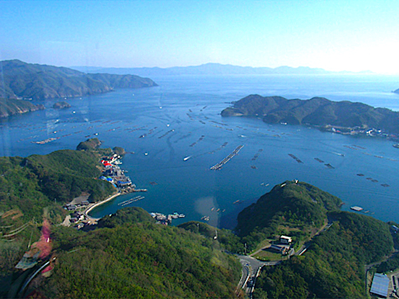 宇和海展望タワー