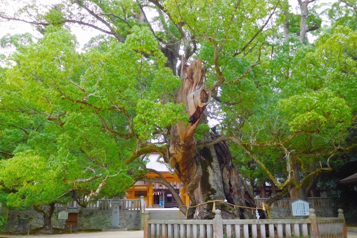 大山祇神社