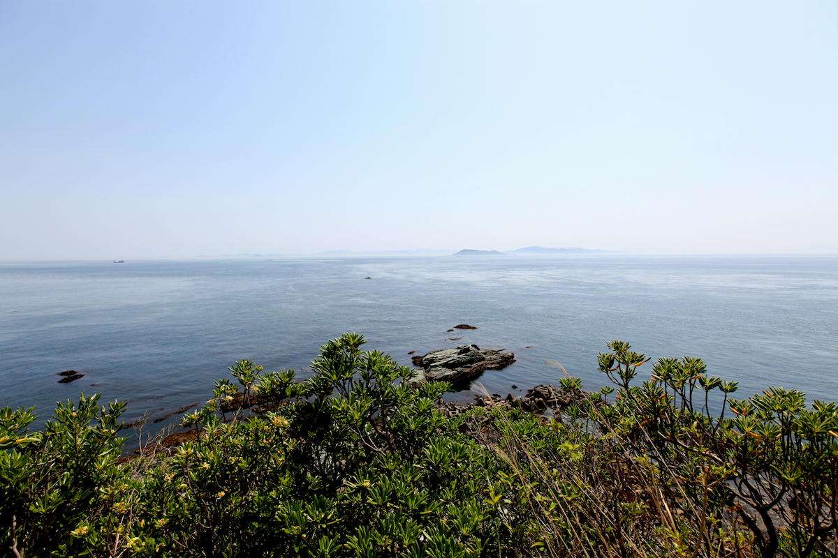 佐田岬