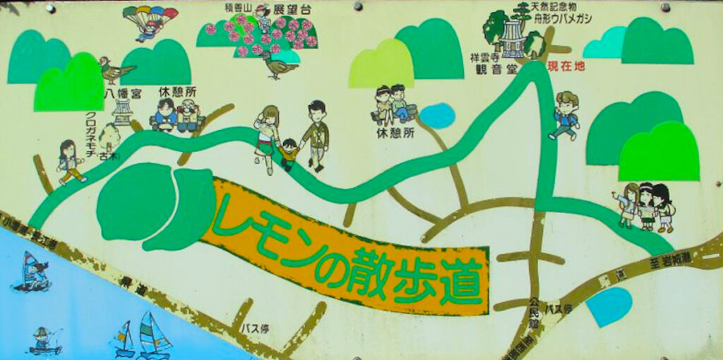 レモンの散歩道