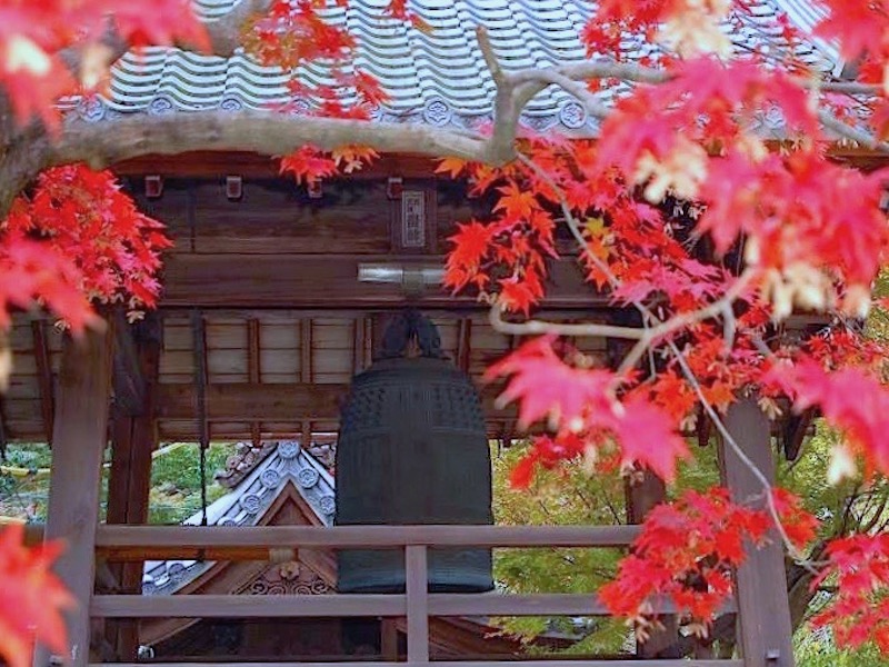 定光寺