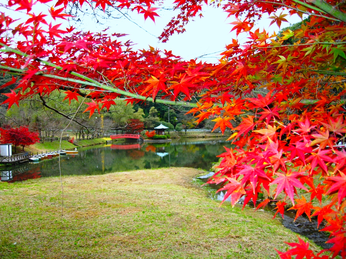 定光寺