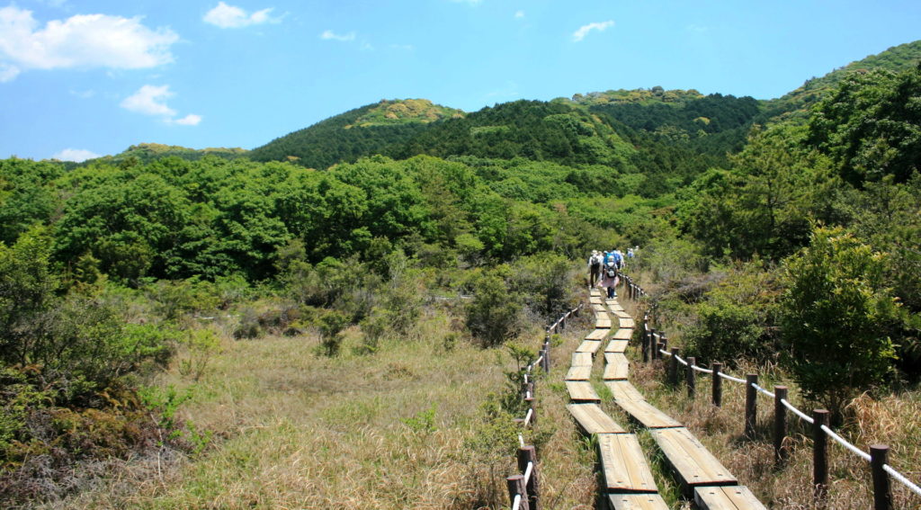 葦毛湿原