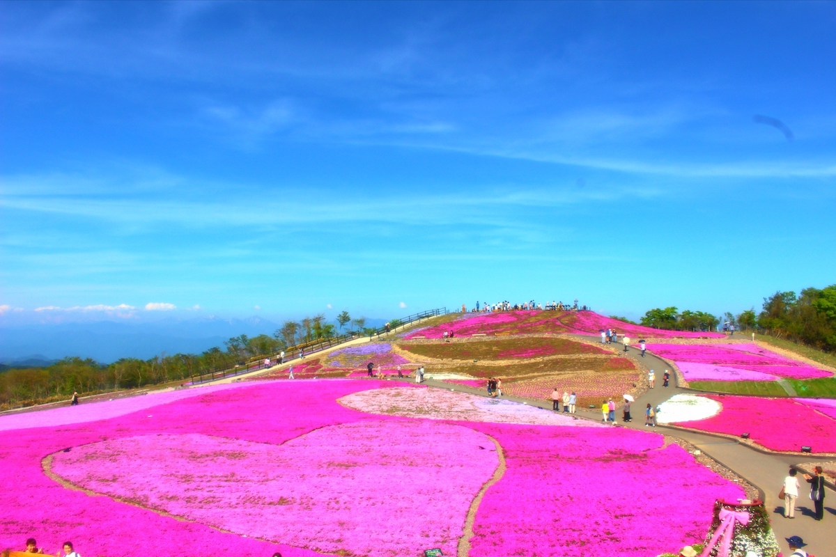 茶臼山高原