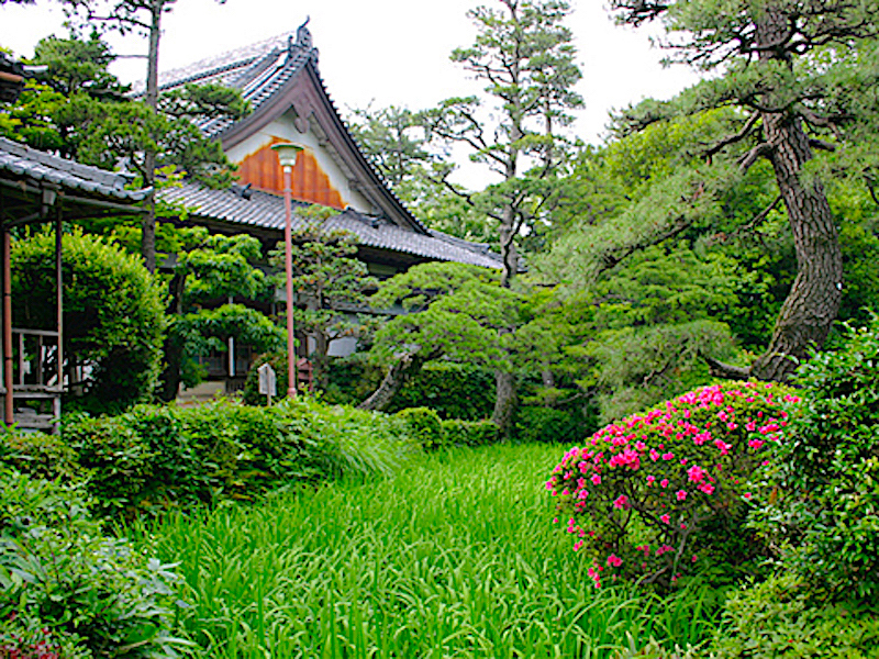 無量寿寺