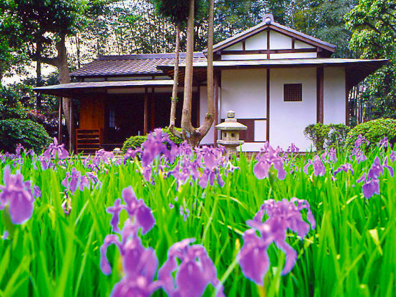 無量寿寺