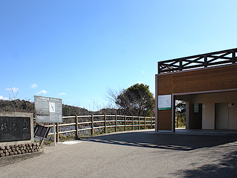 鵜の山ウ繁殖地