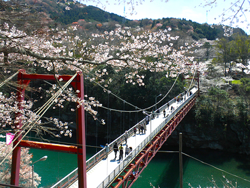 桜淵公園