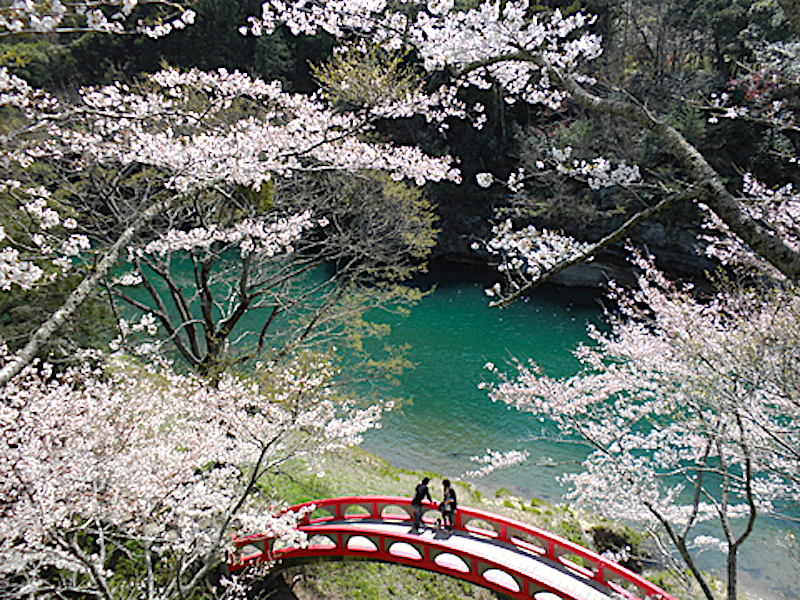 桜淵公園