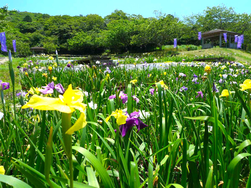 初立池公園