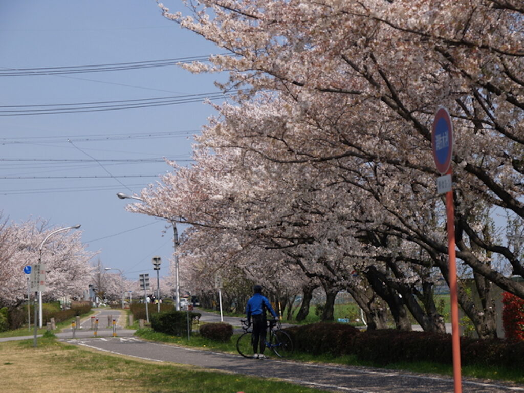 明治用水