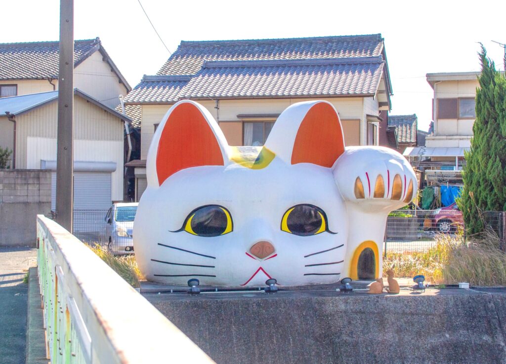 見守り猫とこにゃん