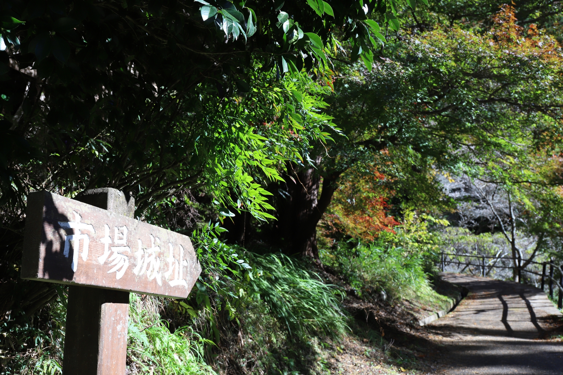 市場城
