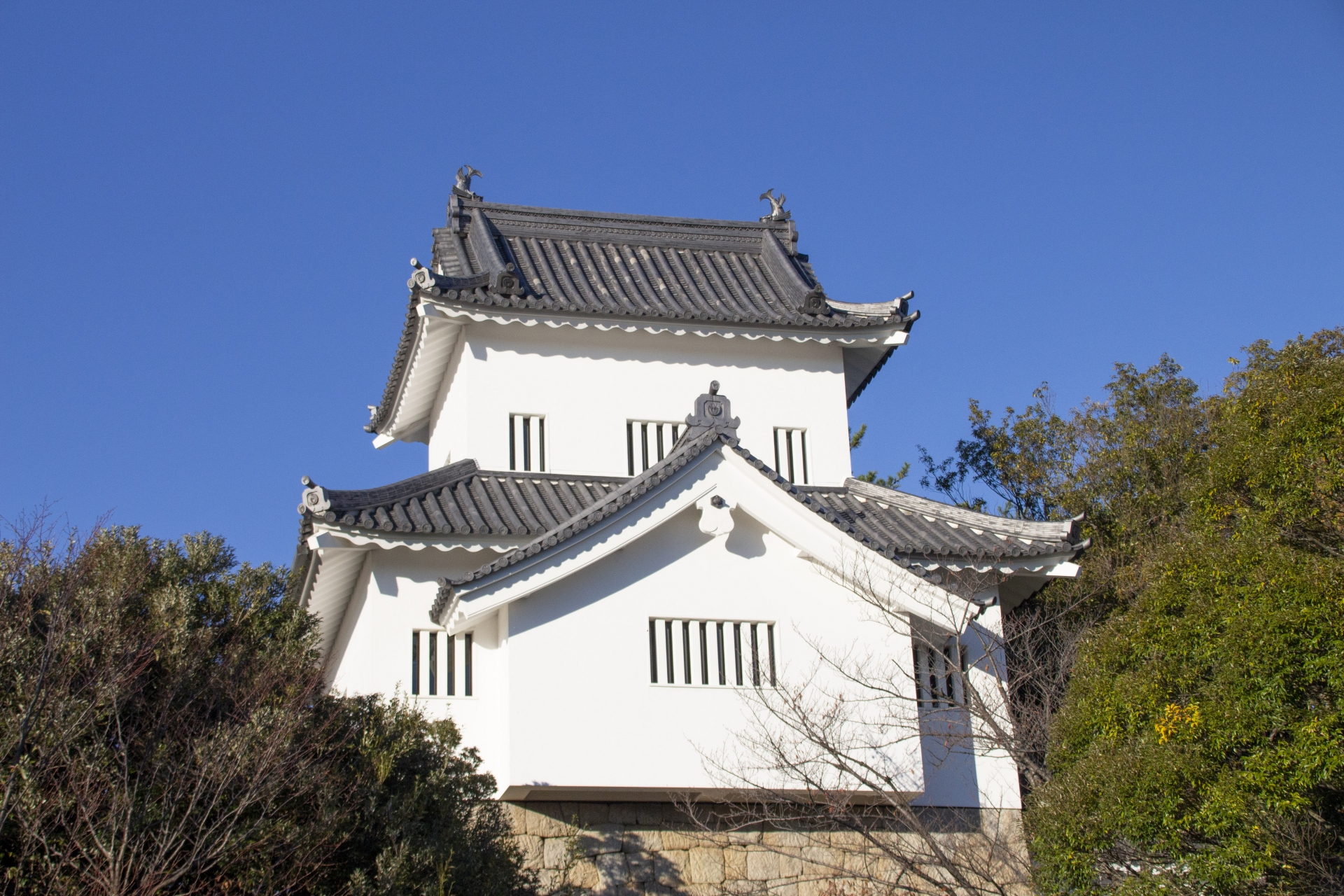 挙母城