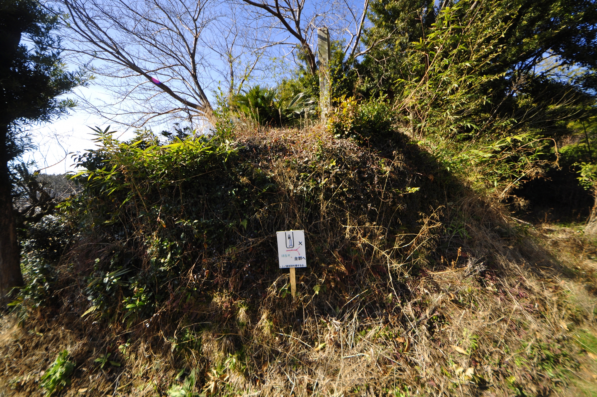 上ノ郷城