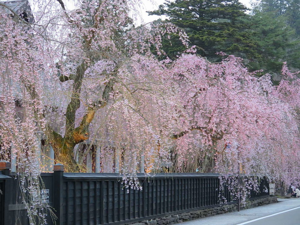 仙北市立角館樺細工伝承館