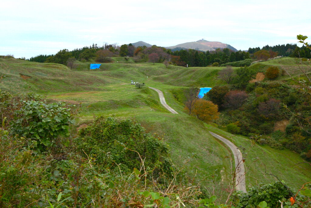 脇本城