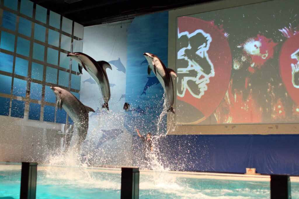 青森県営浅虫水族館