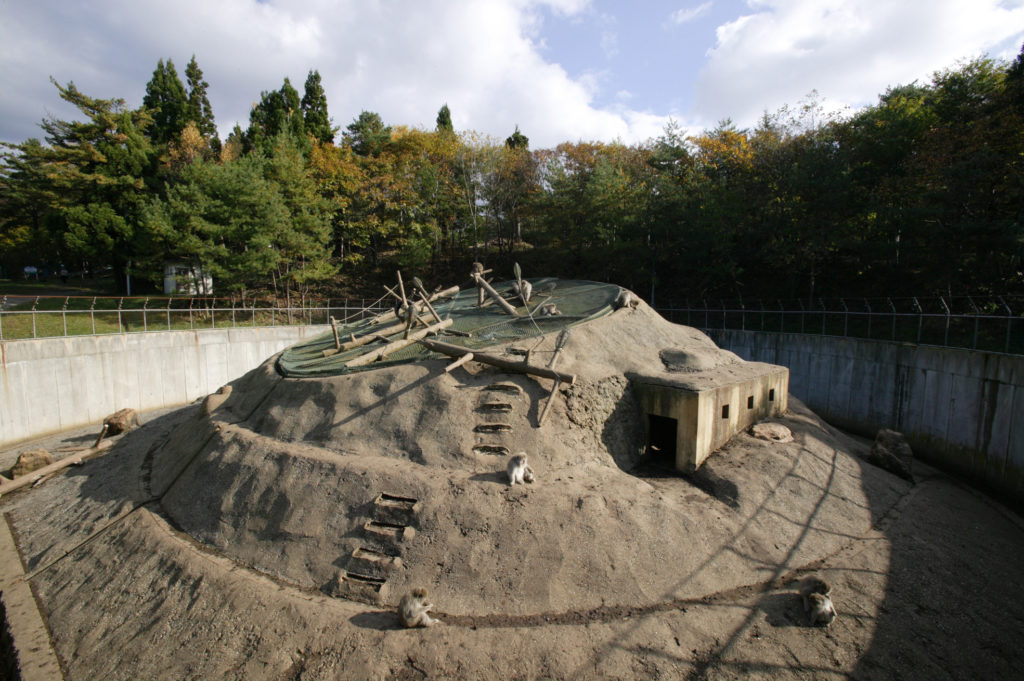 脇野沢野猿公苑