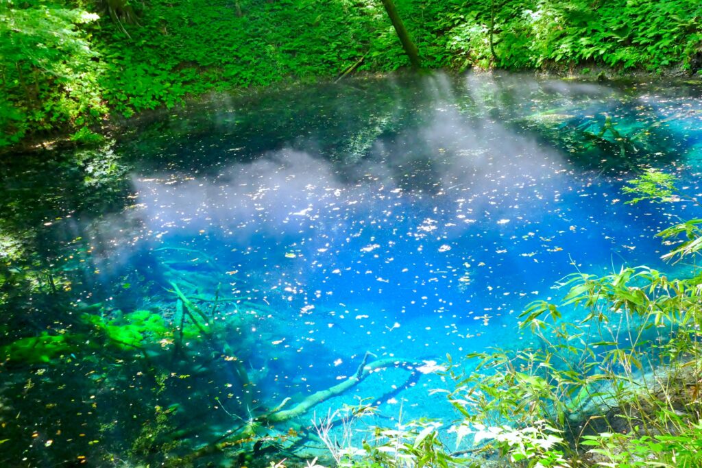 青池（十二湖）