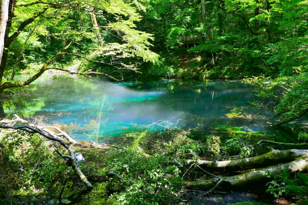 沸壺の池・沸壺池の清水