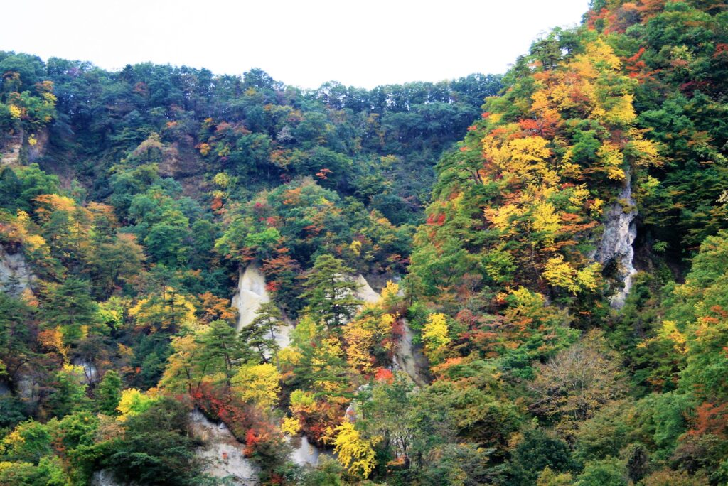 白岩森林公園