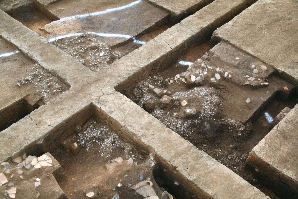 田小屋野貝塚