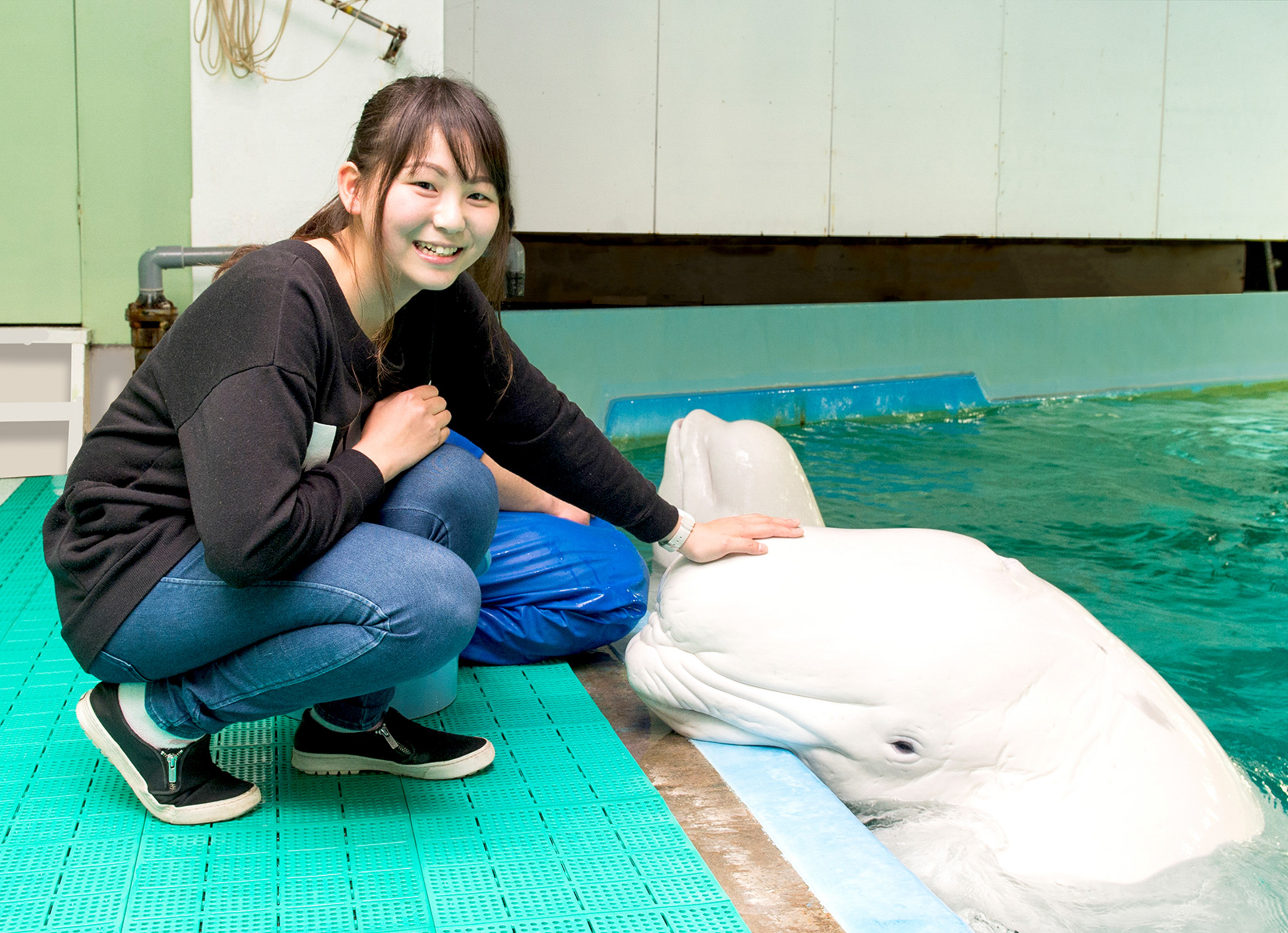 鴨川シーワールド『夏の水族館探検プラン』開催｜2024年
