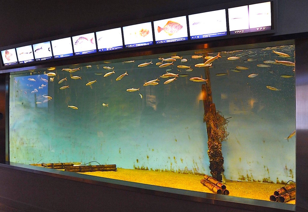 浦安市郷土博物館