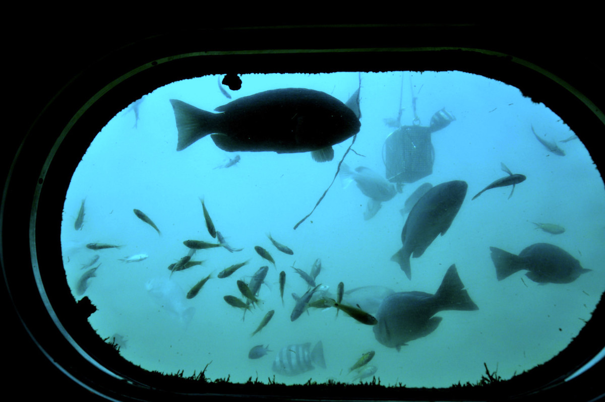 かつうら海中公園海中展望塔