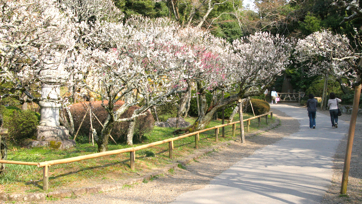 成田山公園