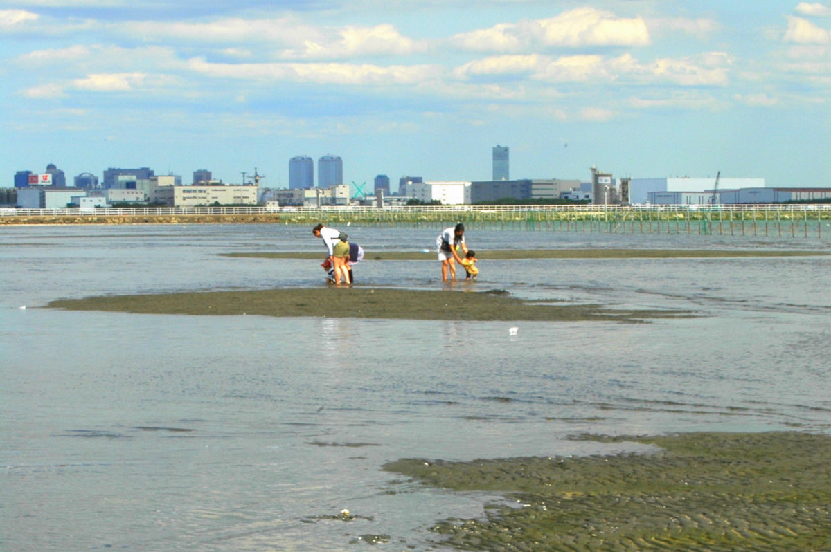 ふなばし三番瀬海浜公園