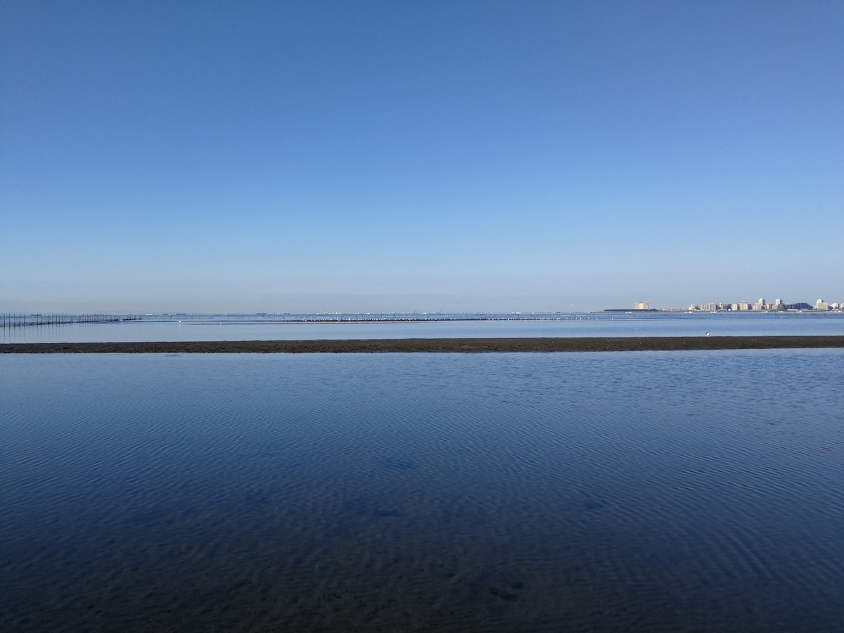 ふなばし三番瀬海浜公園