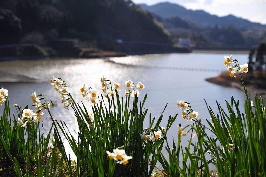 佐久間ダム湖親水公園